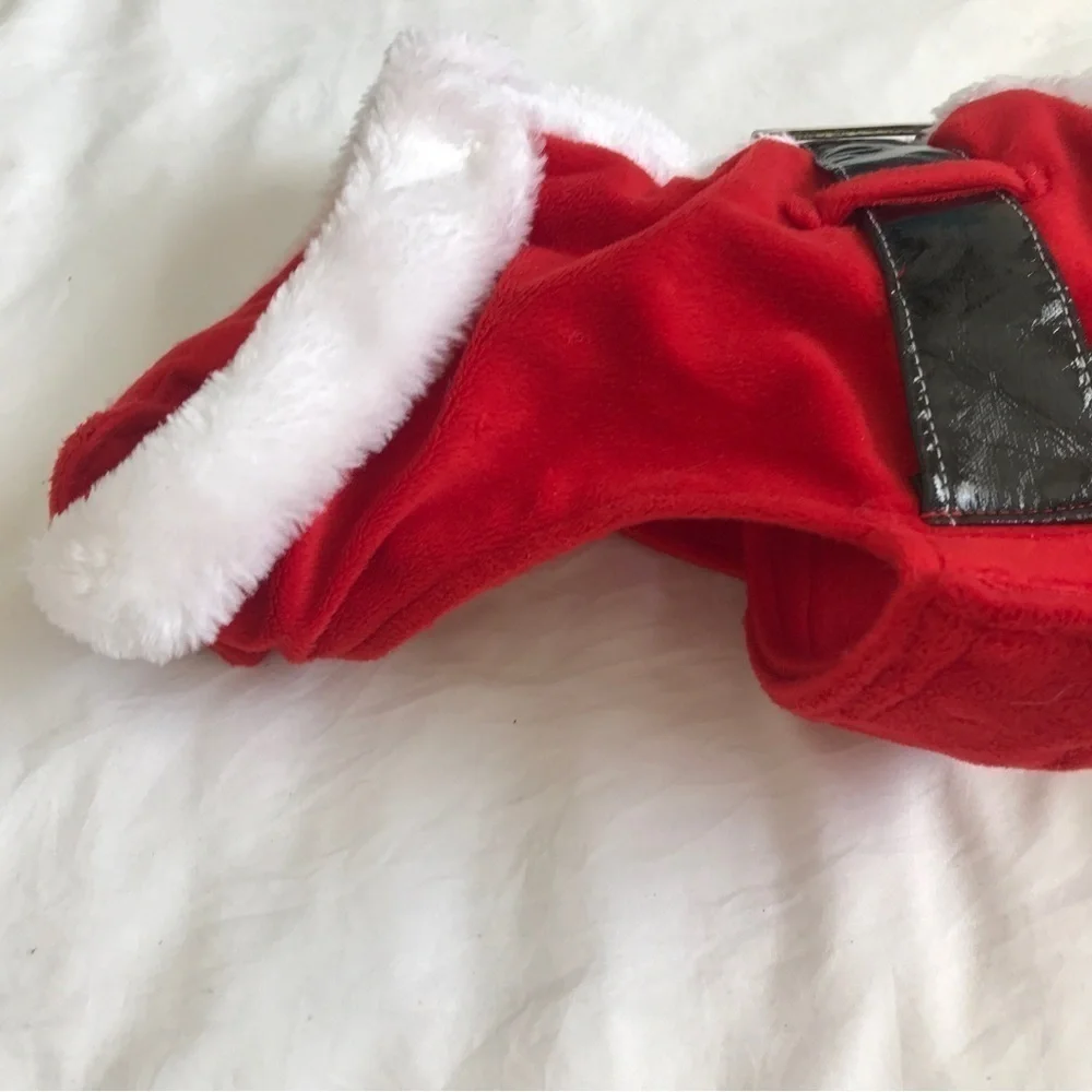 Santa pet costume